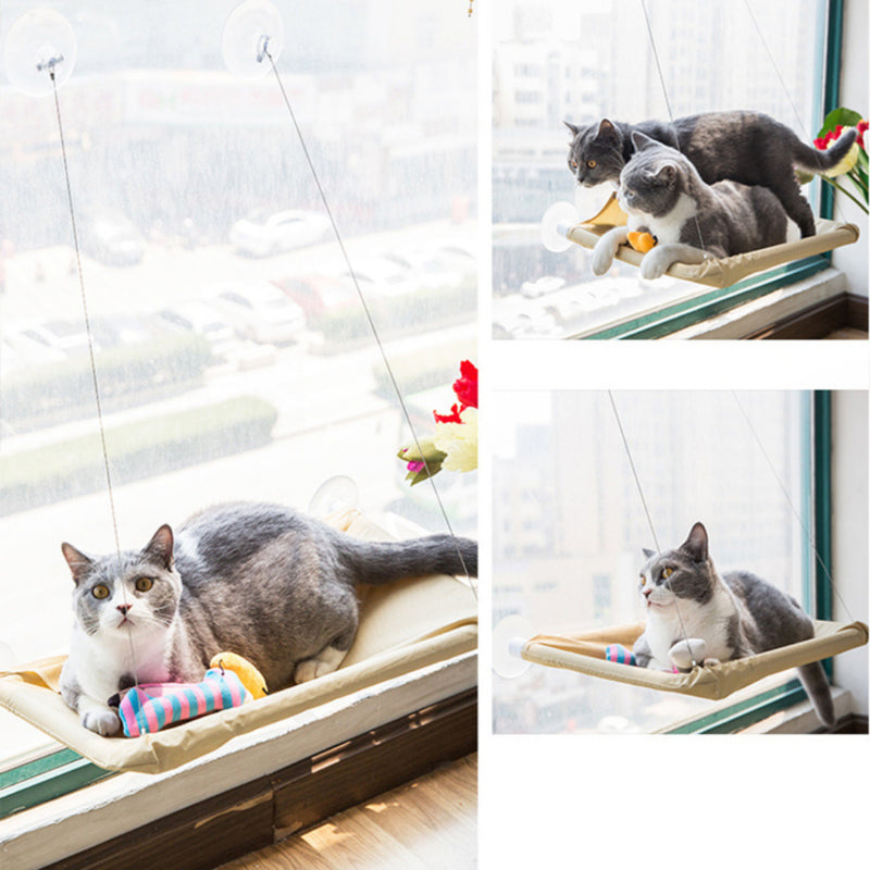 Cama Para Gato Suspensa de Janela GG com ventosas 20kg Caminha Rede pet