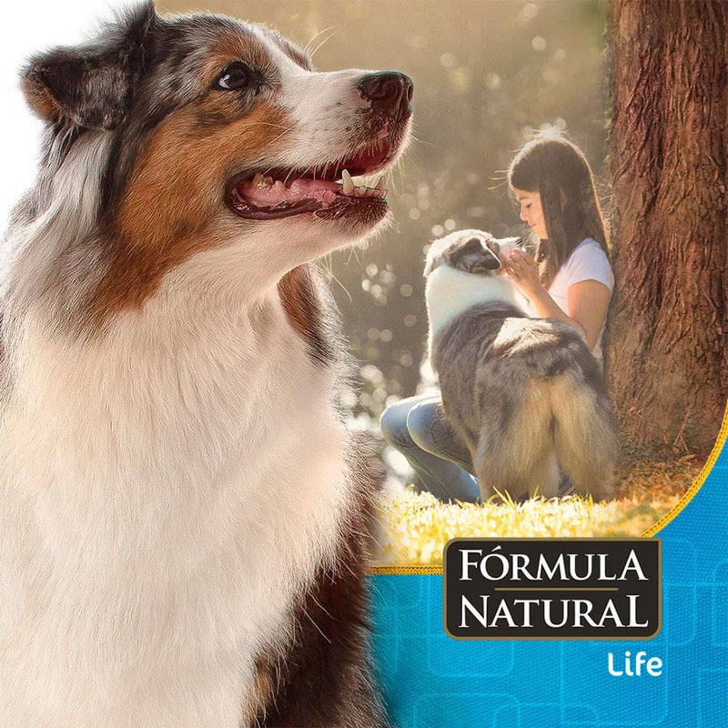 Ração Fórmula Natural Cães Adultos Porte Mini e Pequeno 2,5kg