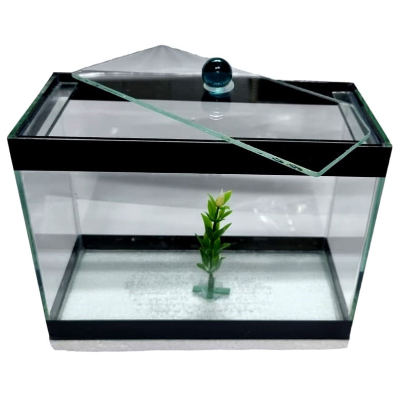 Aquario Beteira para peixes pequenos tipo Betta Retangular 20 cm - Sem Pedra