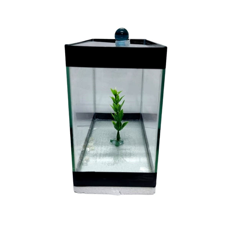Aquario Beteira para peixes pequenos tipo Betta Retangular 20 cm - Sem Pedra