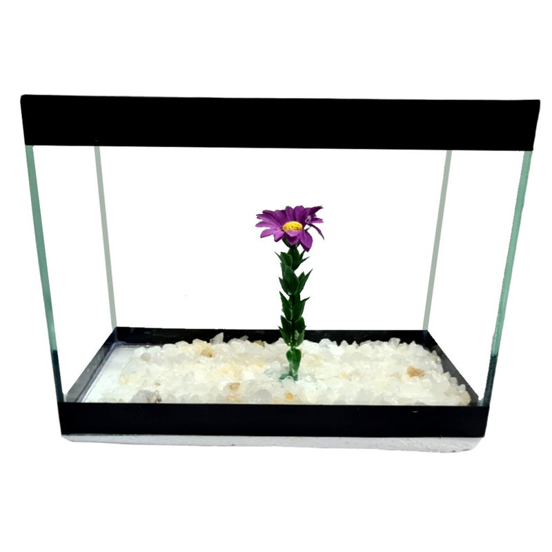 Aquário Retangular 3 Litros - 20x10x15