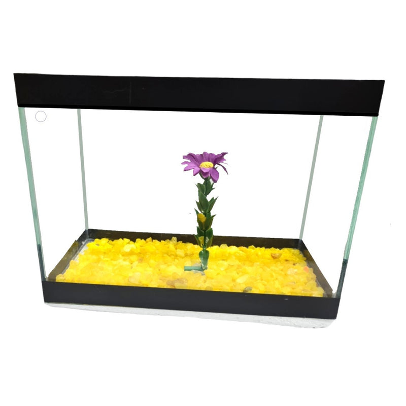 Aquário Retangular 3 Litros - 20x10x15