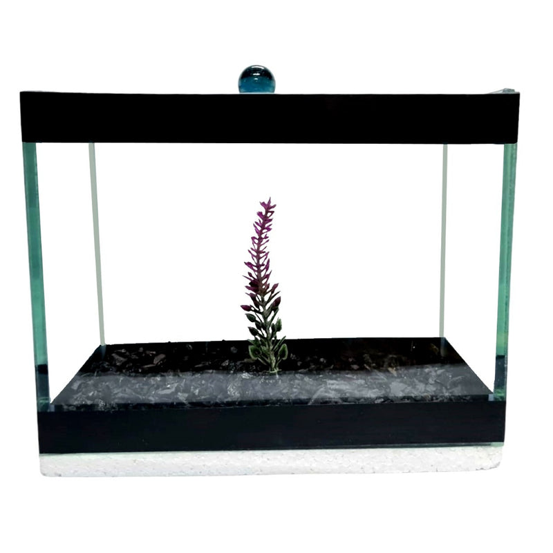 Aquário Retangular 3 Litros - 20x10x15