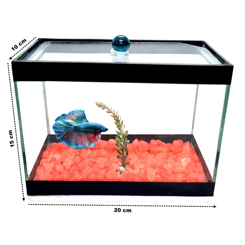 Aquário Retangular 3 Litros - 20x10x15