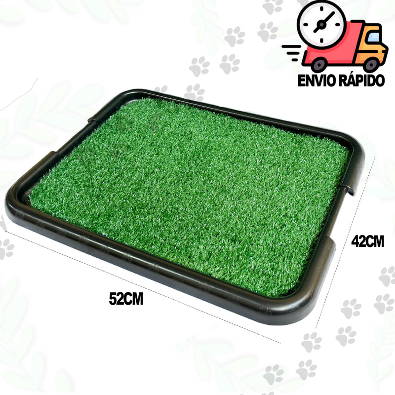 Sanitário Pra Cachorros Grama Sintética Tapete Higiênico + Xixi Sim Não