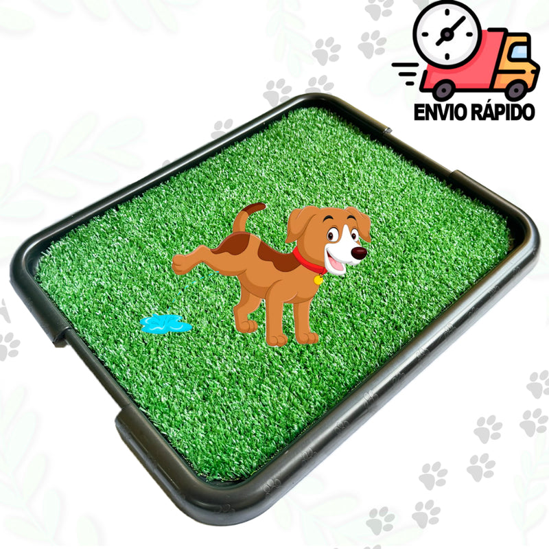 Sanitário Pra Cachorros Grama Sintética Tapete Higiênico + Xixi Sim Não