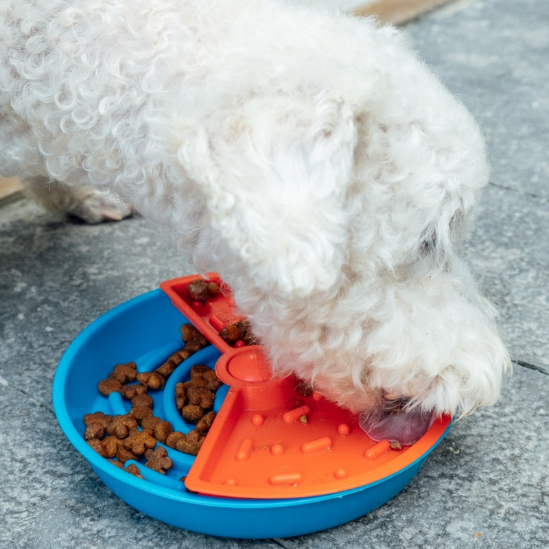 Comedouro Interativo Lento e Educativo Com Diferentes Texturas - Para Cães e Gatos - Para Cachorros - Gira Gira - Petiko