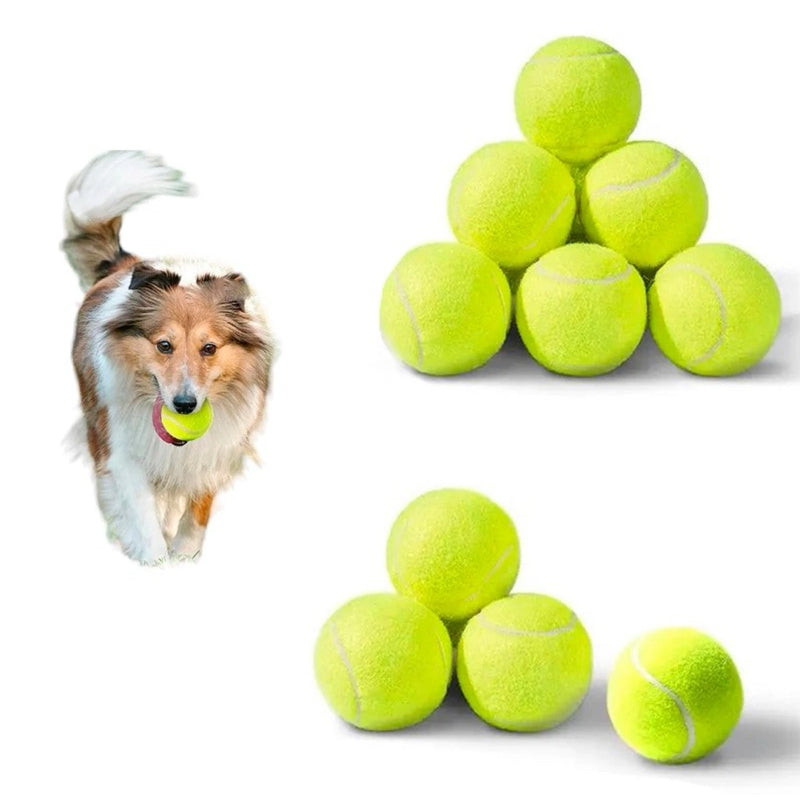 Bola de Tenis Para Treinamento Para Caes Cachorros Pula de Verdade