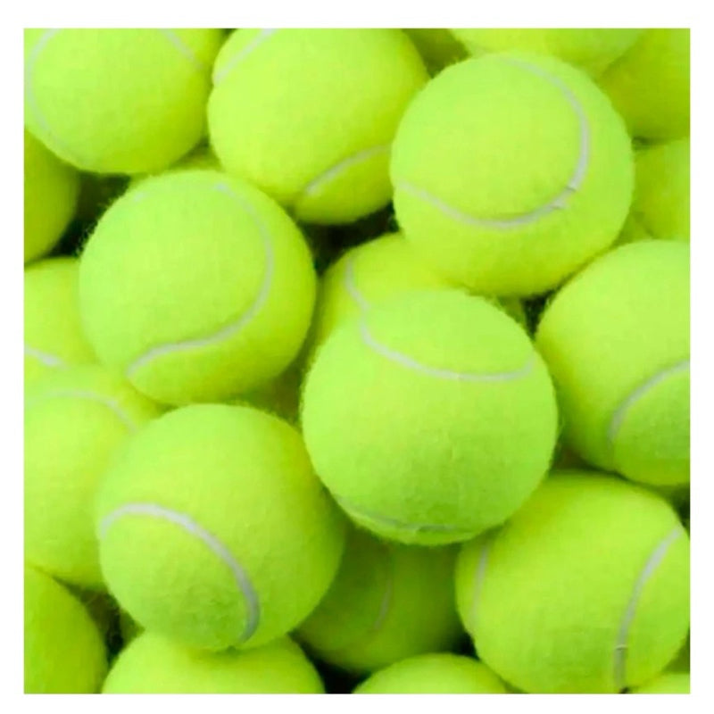 Bola de Tenis Para Treinamento Para Caes Cachorros Pula de Verdade