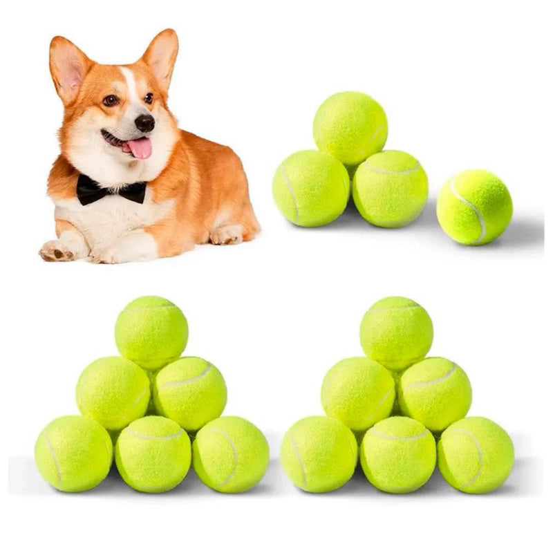 Bola de Tenis Para Treinamento Para Caes Cachorros Pula de Verdade