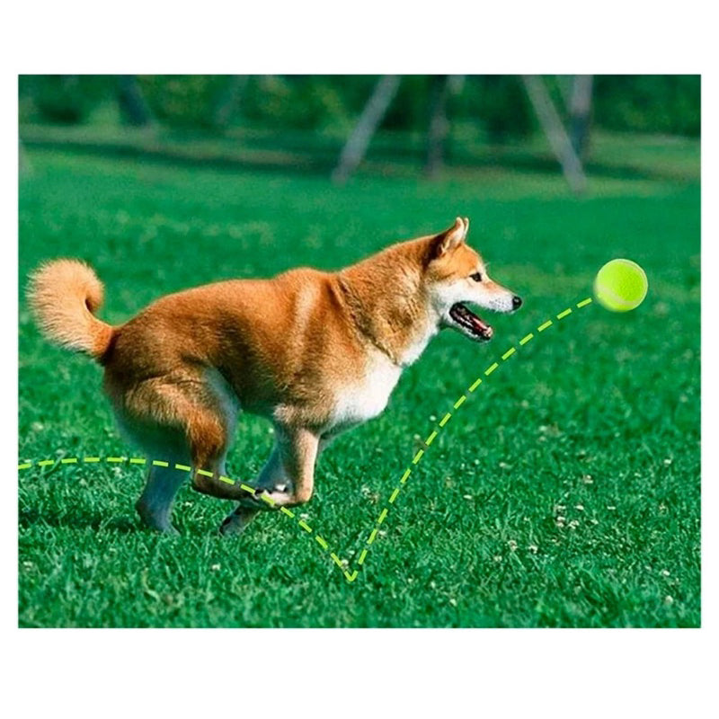 Bola de Tenis Para Treinamento Para Caes Cachorros Pula de Verdade