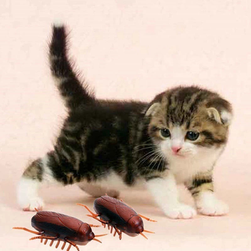 Brinquedo Interativo Para Gatos Barata De Brinquedo Que Anda Realista Divertido - ENVIO RÁPIDO