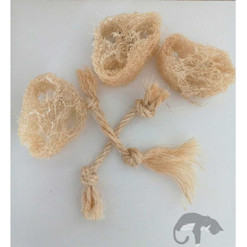 brinquedos 100% naturais para desgaste dos dentes de roedores kit 5 unidades (bucha vegetal e sisal).
