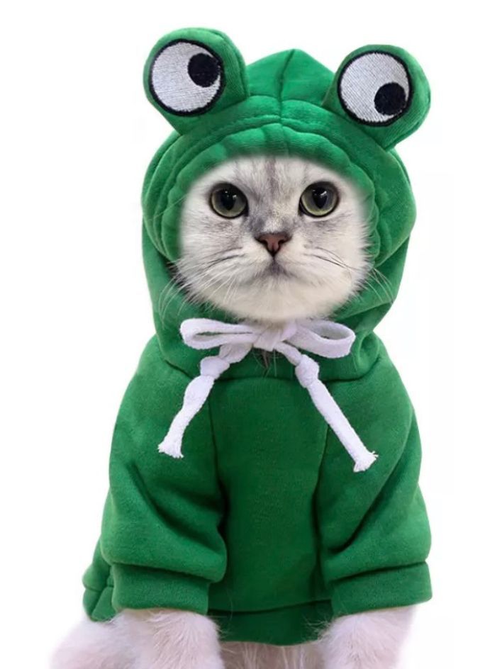 Moletom pet sapinho para cachorro e gato