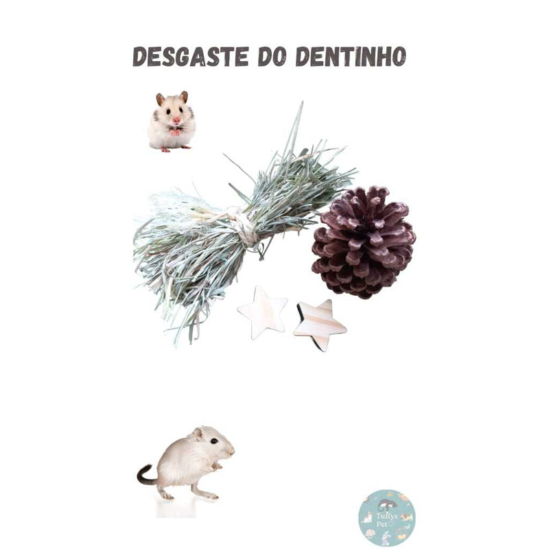 Desgaste dos dentinhos roedores kit 3 Brinquedos.