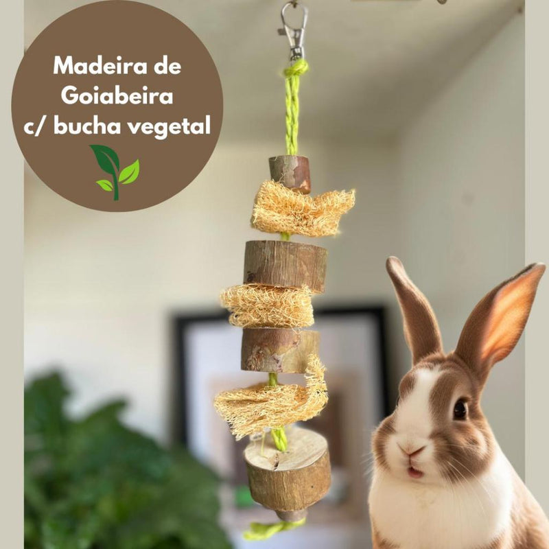 Brinquedo de GOIABEIRA In Natura Para Coelhos e Porquinho da Índia