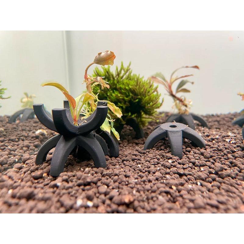 Refúgio Perfeito para Camarões Neocaridina – 4 Tocas Modernas e Funcionais para Seu Aquário