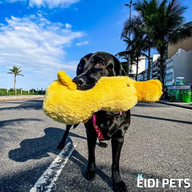 Brinquedo Mordedor Resistente Pato de Pelúcia Grande com Apito para Cães – EIDI PETS