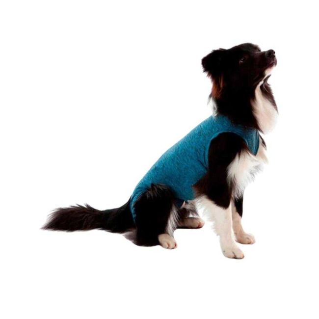 CãesAcessóriosRoupa CirúrgicaRoupa Cirúrgica, Pós-Cirurgia, Pós-Operatório, Roupa para Cães, Auxilia na Recuperação, Segura, Macia e Confortável, VerdeRoupa Cirúrgica, Pós-Cirurgia, Pós-Operatório, Roupa para Cães, Auxilia na Recuperação, Segura, Macia e