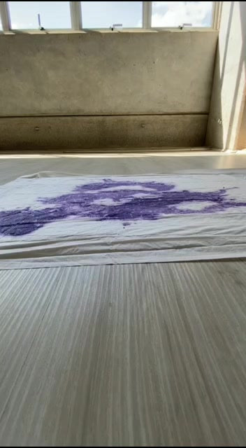 Tapete Higiênico Para Cães Super Tapetão 80 X 60 Com 30
