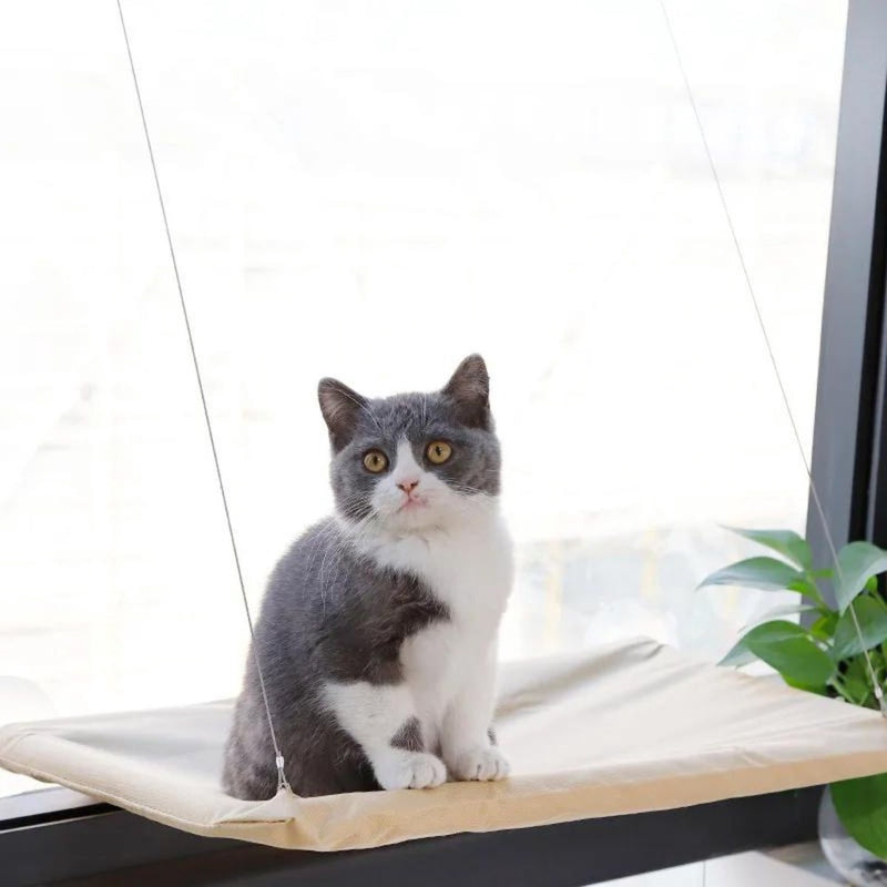 Cama Caminha De Janela Para Gato Pet Com Ventosas Suspensa Rede 15kg Grande Gatos Interativo
