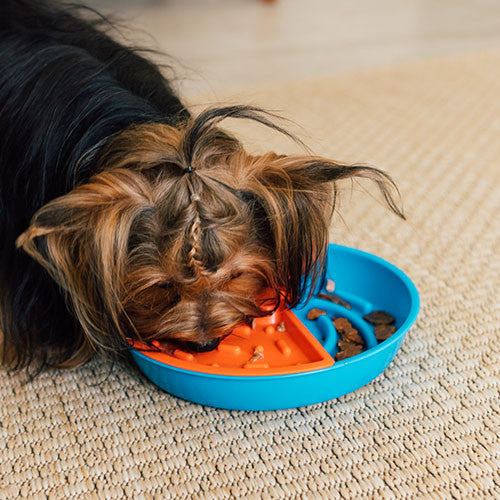 Comedouro Interativo Lento e Educativo Com Diferentes Texturas - Para Cães e Gatos - Para Cachorros - Gira Gira - Petiko