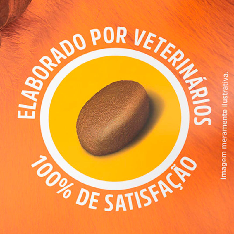 Ração Special Dog Para Cães Adultos Sabor Carne Plus 10,1kg
