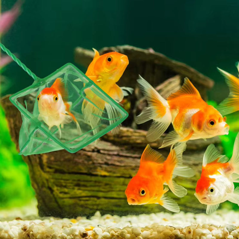 Rede Redinha Para Peixes Aquários 3"/ 5"/ 6"/ 8" Para Aquários Escolha o Tamanho