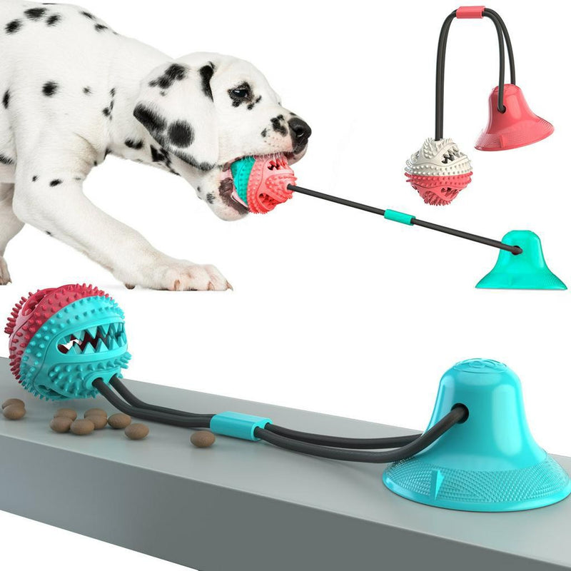 Bola de Brinquedo Interativa Molar Slow Food com Vazamento para Cachorro Golden Retriever e Labrador