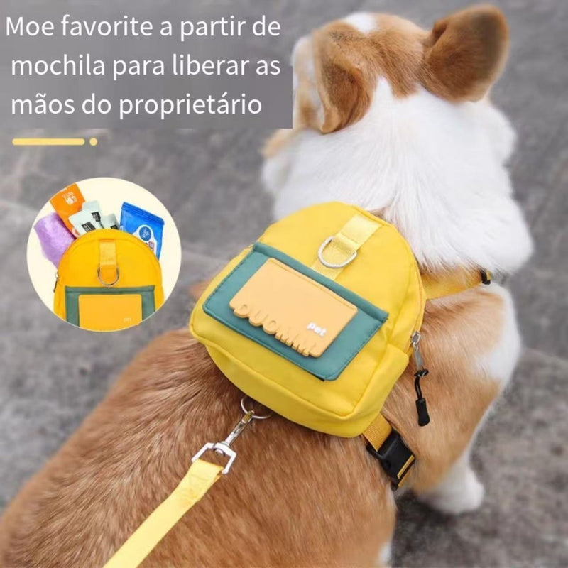 Mochila Pet Impermeável Com Peitoral E Guia Ideal Para Cães Em Viagens E Passeios Ao Ar Livre