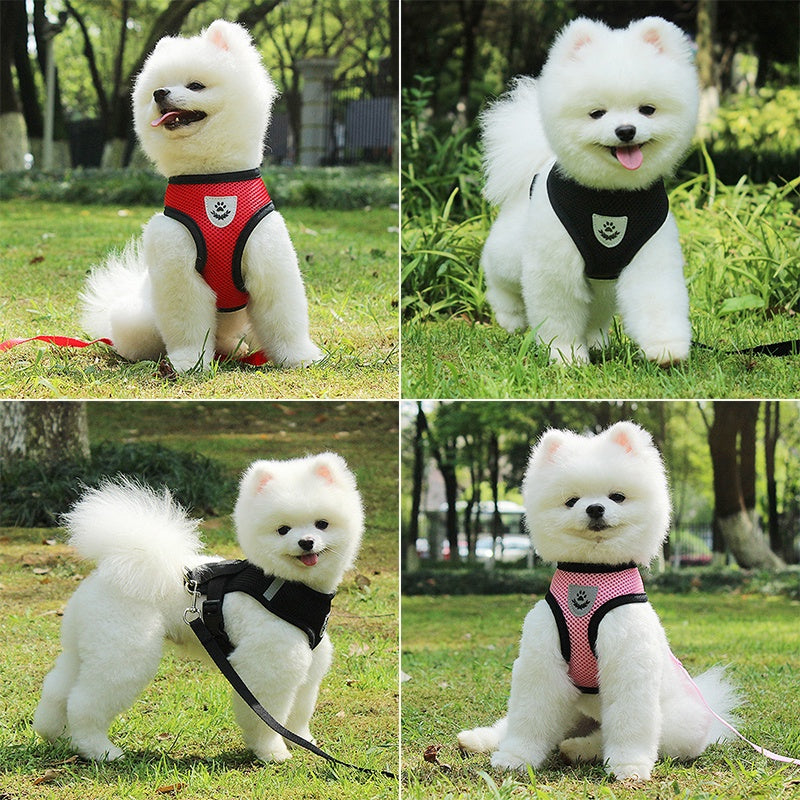 Conjunto De Arnês E Trela Para Animais De Estimação De Malha Ajustável-Coleira Respirável Cães/Gatos Com Controle De Tra